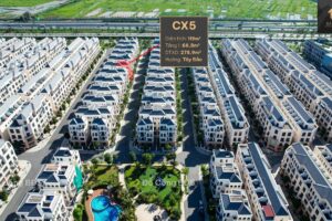 TỨ LẬP CỌ XANH